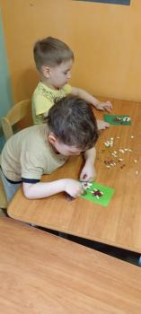 Познавательная программа «Цветочная поляна» Познавательная программа «Цветочная поляна»