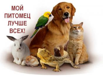 Подведены итоги онлайн-фотоконкурса «Мой питомец лучше ВСЕХ!»          