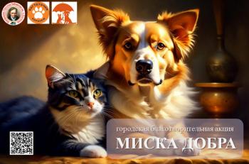 Городская благотворительная акция «МИСКА ДОБРА» Городская благотворительная акция «МИСКА ДОБРА»