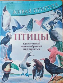 Урок орнитологии «Пернатая радуга» 