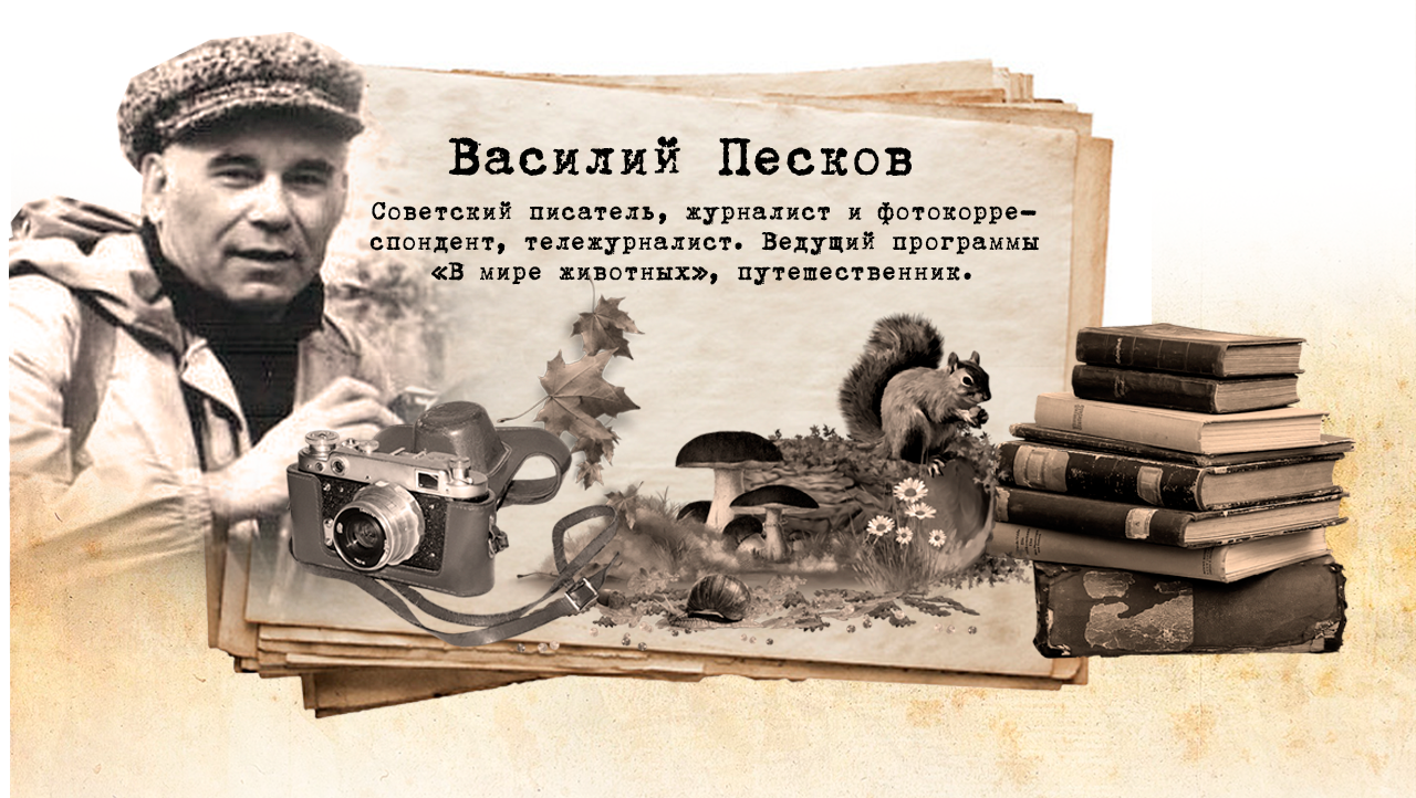 В.М. Песков