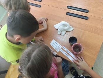 Беседа «Твои друзья на планете земля» Беседа «Твои друзья на планете земля»