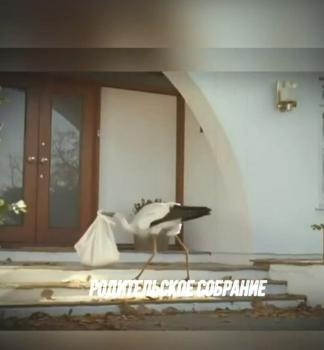 Родительское собрание «Развиваемся, читая»