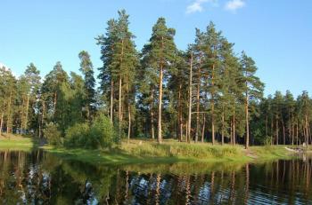 Авторская передача «Воронеж в свете историй: Усманский бор»  16+