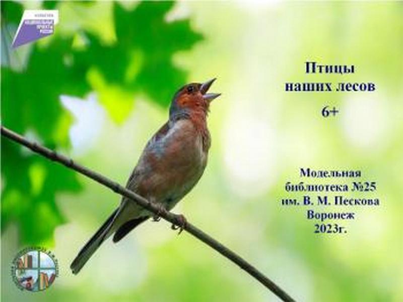Виртуальная выставка "Птицы наших лесов".