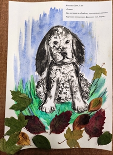 Костенко Даня, 5 лет, «Томка»