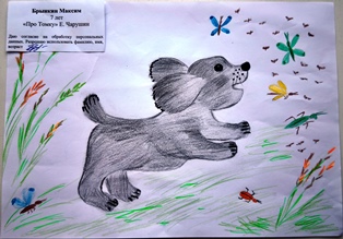 Брынкин Максим, 7 лет, «Про Томку»